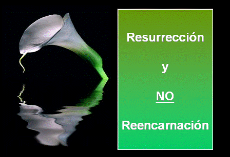 Resurreccin