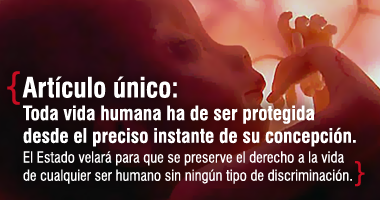 Ley del aborto: artculo nico