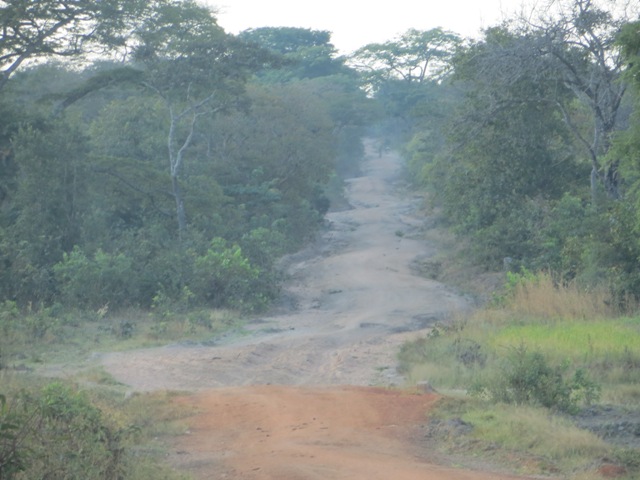 paisaje_africa