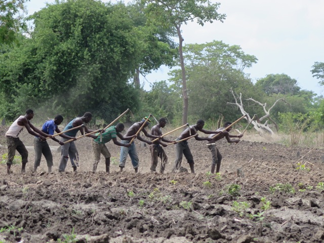 tanzania_trabajo